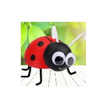 Brico
